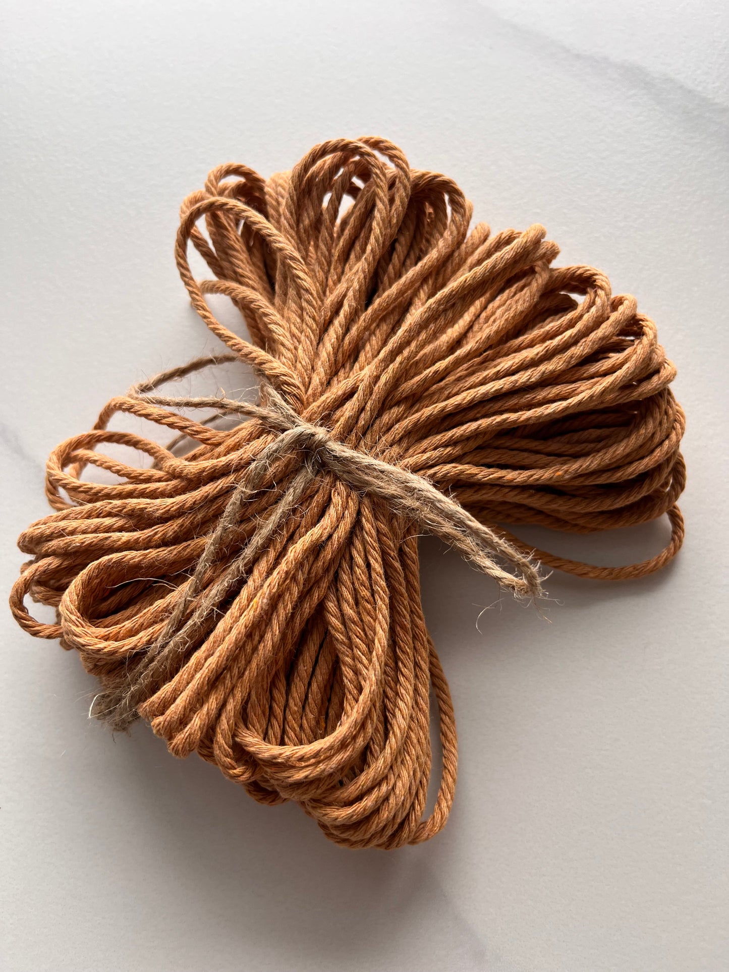 Simplicité (marron clair) - 30 m - 3mm