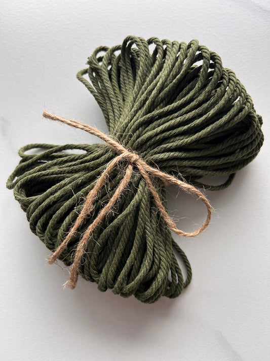 Sagesse (vert olive) - 10 m - 3mm