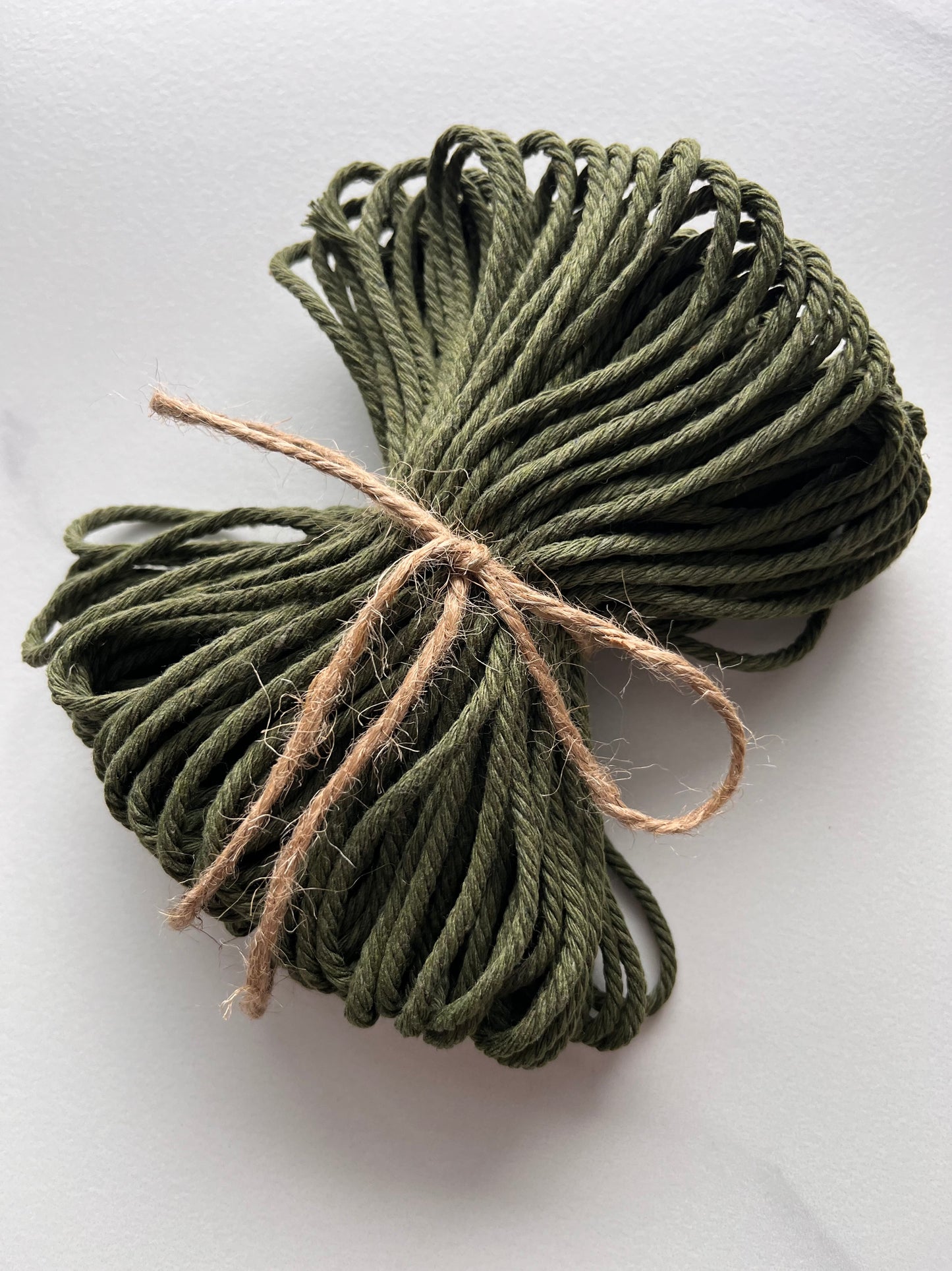 Sagesse (vert olive) - 30 m - 3mm